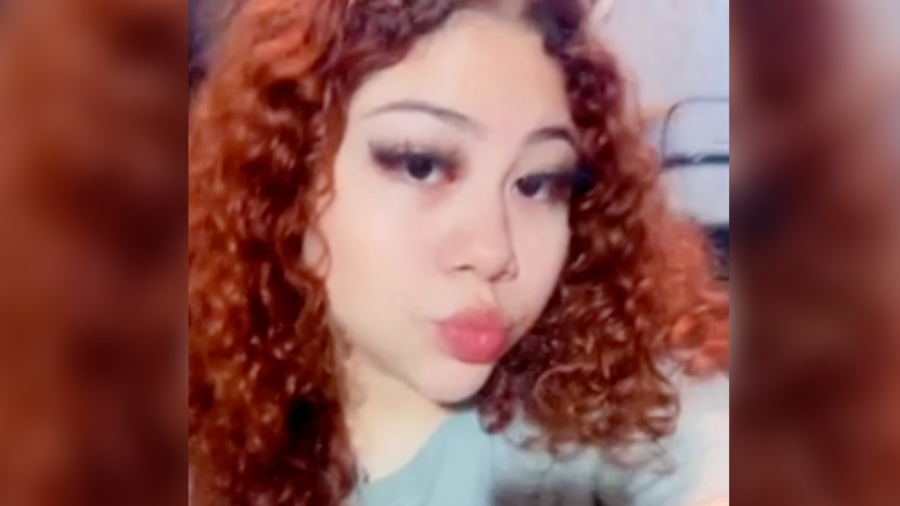 Houston Girl, 16, Fatally Shot as She Walked Dog