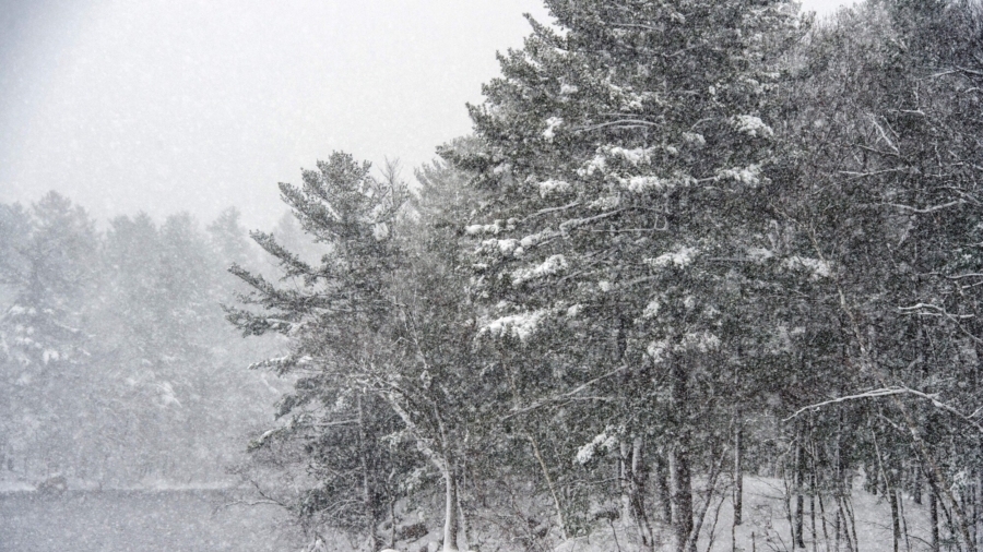 Eastern US Storm Suspends Schools, Flights