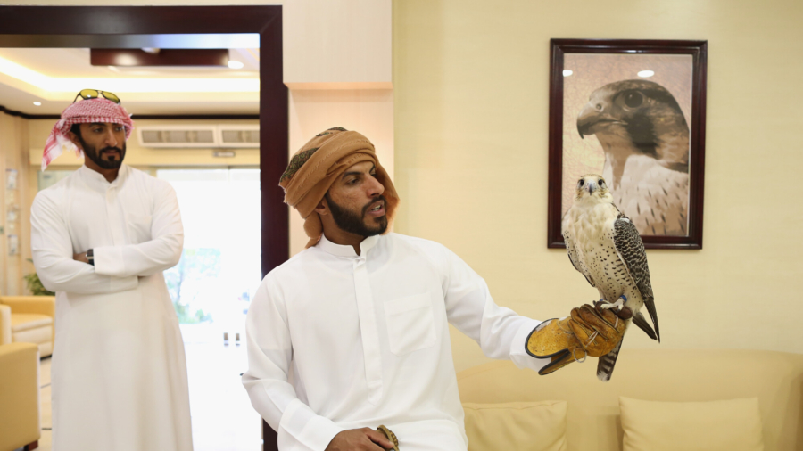 UNESCO Weighs Falconry Cultural Heritage