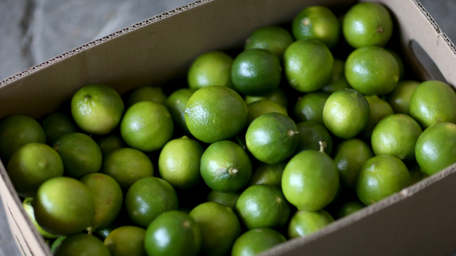 Inflation hits Mexican Lime Prices