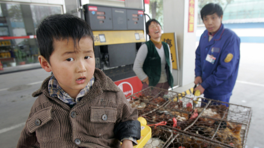 China's Hukou System, Explained