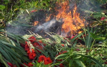 Lunar New Year Flowers in Flames as Hong Kong Farmer Burns Unsold Stock