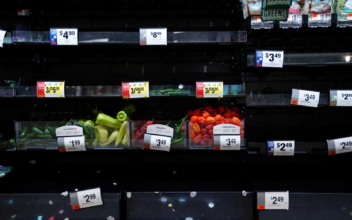 US Grocery Shortages Deepen as Pandemic Dries Supplies