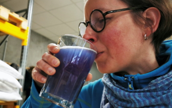 French Brewer Colors Beer Blue With Algae