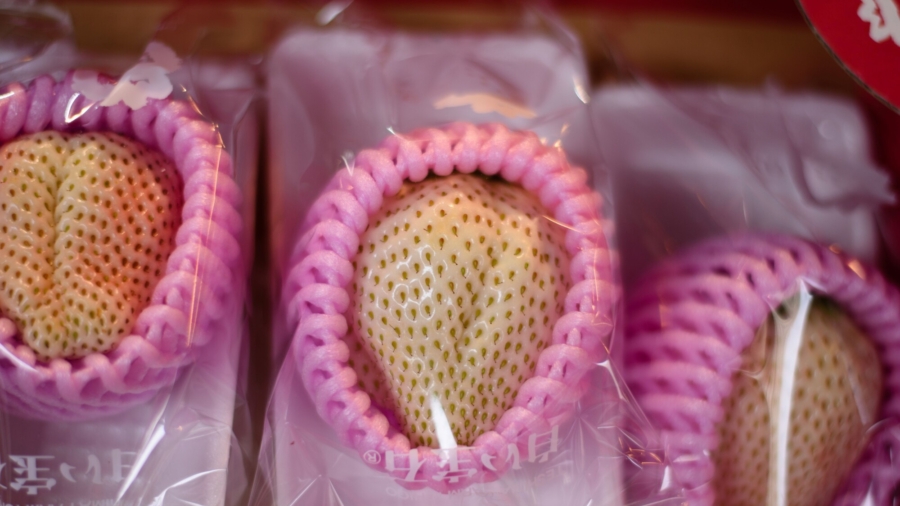 White Strawberries Sold Out in Bay Area
