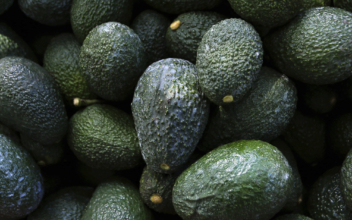 US Suspends Mexican Avocado Imports on Eve of Super Bowl