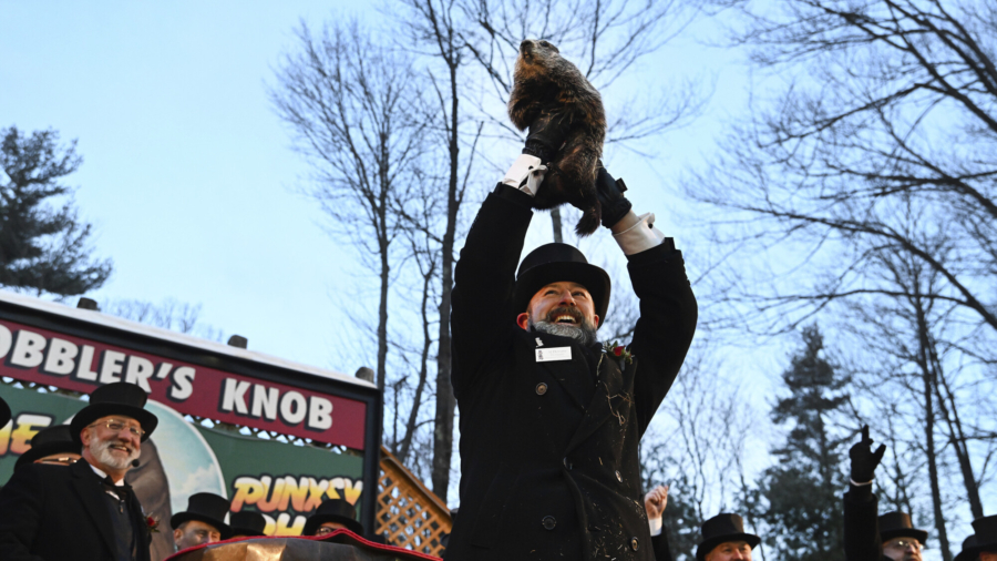 Did Punxsutawney Phil See His Shadow?