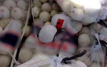 Meth Disguised as Onions at Southern Border