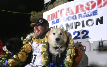 Brent Sass Wins His 1st Iditarod Sled Dog Race Across Alaska