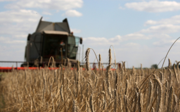 Ukraine Has $8.6 Billion of Wheat It Can’t Export