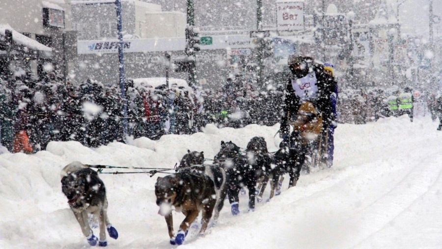 50th Running of Iditarod Makes Official Start; Seavey Seeks Record