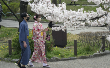 Japan: Cherry Blossom Heralds Start of Spring