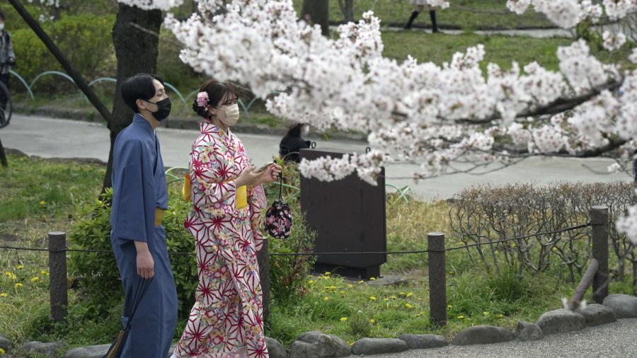 Japan: Cherry Blossom Heralds Start of Spring
