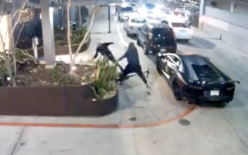 Lamborghini Driver Attacked in LA Robbery Attempt