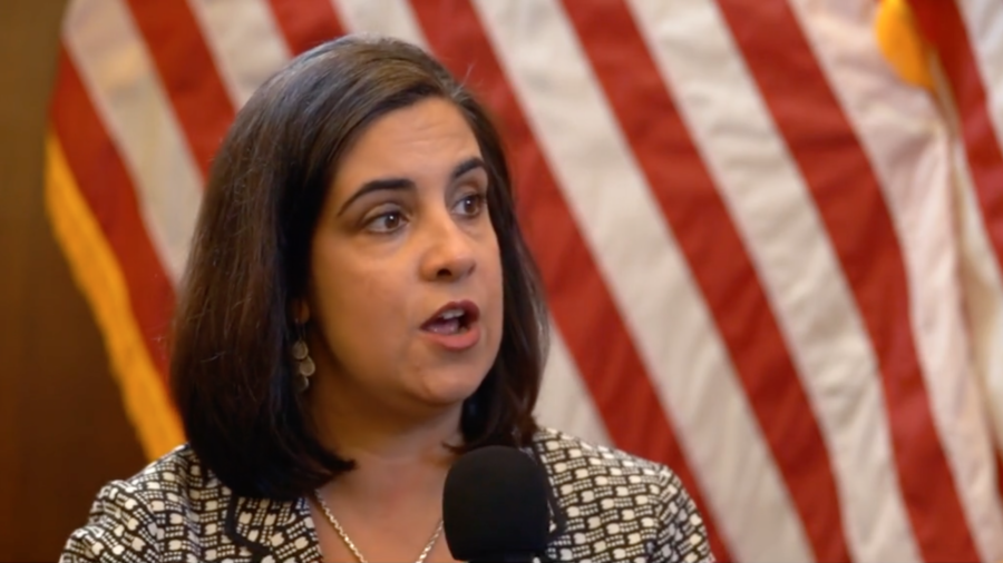 Rep. Nicole Malliotakis: New Yorkers Want More Public Safety