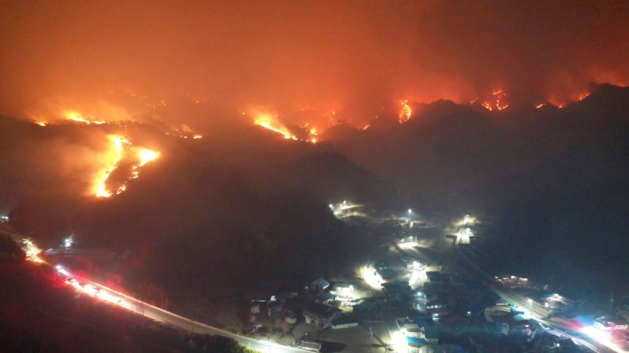 South Korean Nuclear Power Plant Protected From Wildfire as Thousands Flee Their Homes