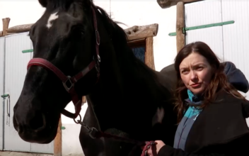 Woman Rescues Her Horse From Ukraine