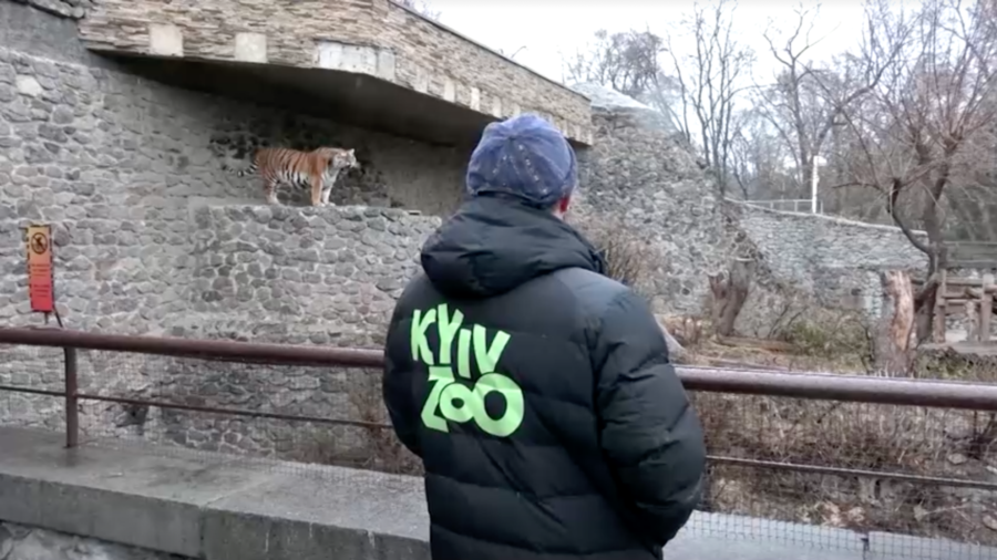 Hunkering Down at the Kyiv Zoo