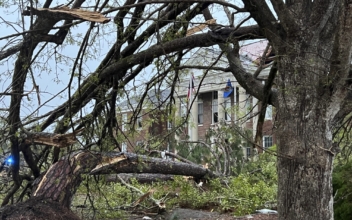 2 Killed in Georgia, Texas as Damaging Storms Strike South