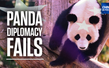 Has China’s Panda Diplomacy Lost Its Sparkle?