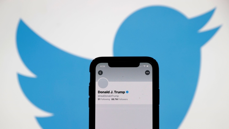 Musk Can't Reverse Trump Twitter Ban