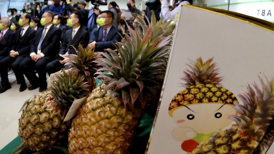 Taiwan Pineapples No Longer Rely on Chinese Market