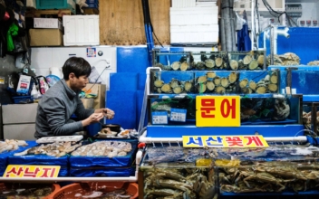 Russian Crab Craze Stirs Debate in South Korea