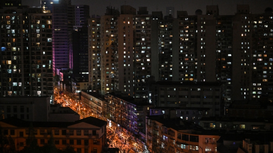 Termites Swarm Shanghai, Numbers Boosted by Lockdown