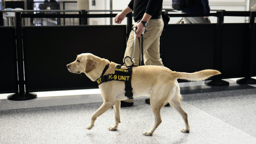 Texas K9 Officers' Safety Kit Donations