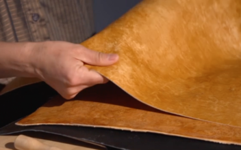 Fungus Root Made Into Luxury Vegan Leather