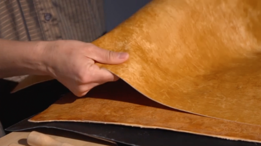 Fungus Root Made Into Luxury Vegan Leather