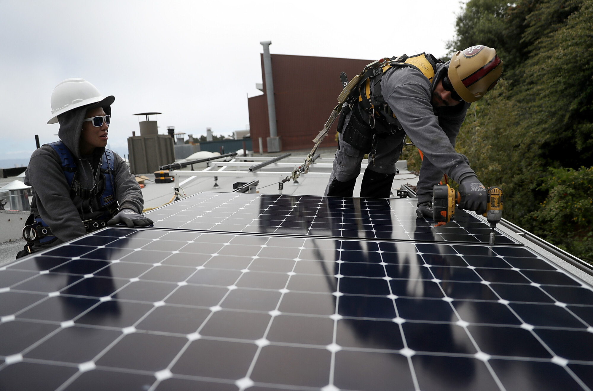 They’re Paneling Paradise to Put Up Solar—A Lot