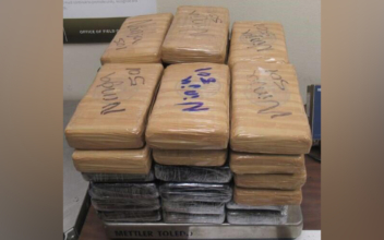 Officials Seize Over $700,000 of Cocaine at US–Mexico Border