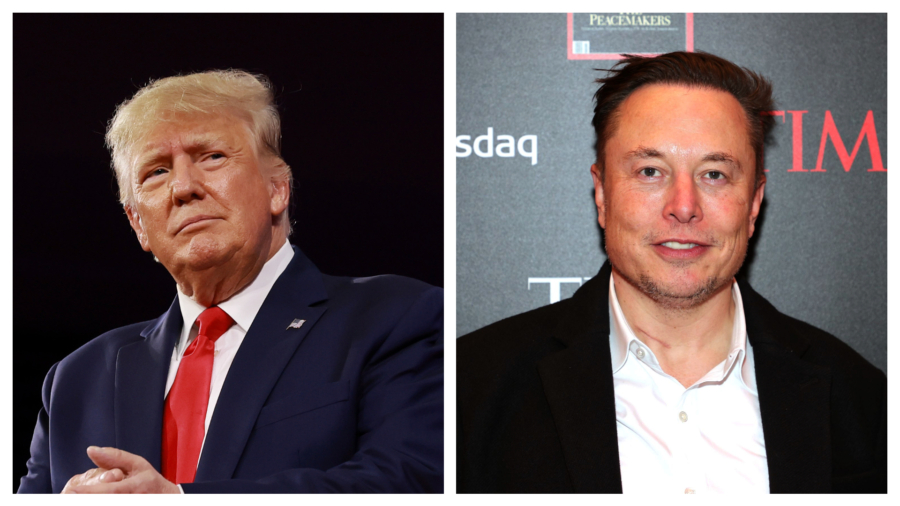 Twitter Reveals Whether Trump Will Be Reinstated After Elon Musk Joins Board