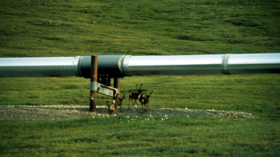 Biden Slashes Millions of Acres Eligible for Oil Drilling in Alaska
