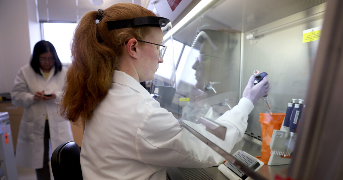 Avian Flu Confirmed in 2 Backyard Pacific Northwest Flocks NTD