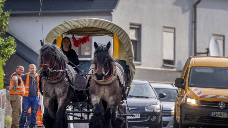 German Farm Owner Saves Fuel Money With Horse-Drawn Carriage