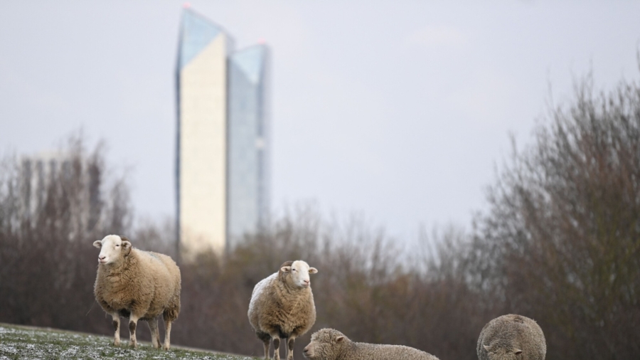 London's Urban Farms Offer Outdoor Getaways