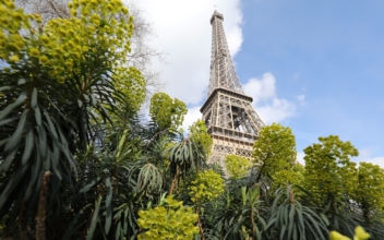 Eiffel Towers Trees Saved From Felling