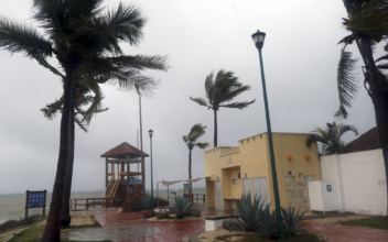 Storm Agatha Kills 3 in Southern Mexico; Heavy Rainfall to Continue