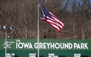 Greyhound Racing Nearing Its End in the US After Long Slide