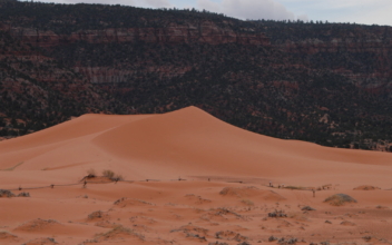 Boy Dies After Being Buried Under Sand Dune at State Park