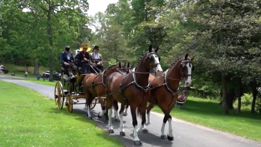 The Devon Horse-Show and Country Fair