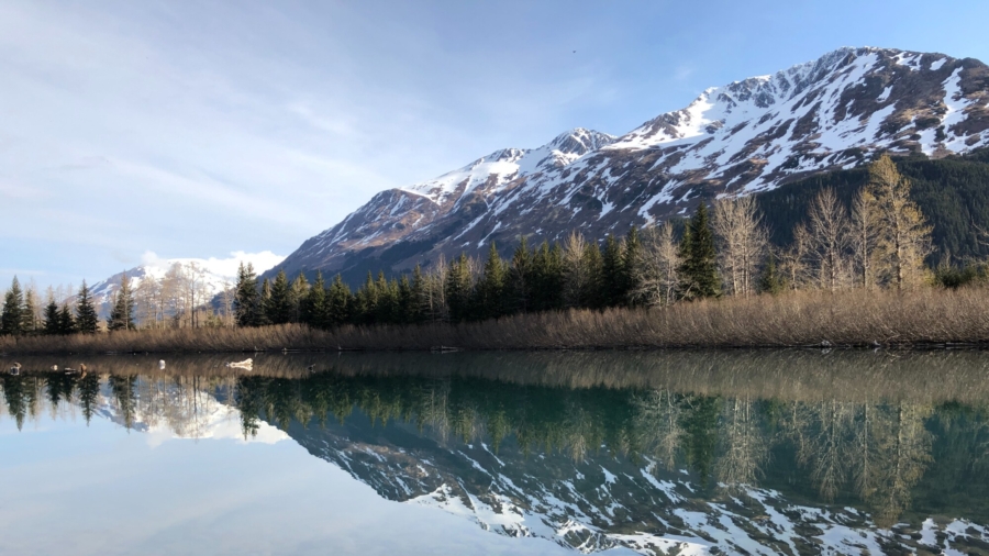 Underwater Drone Tracks CO2 in Gulf of Alaska