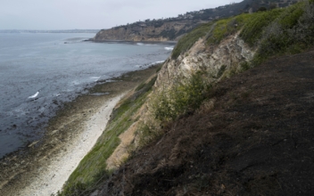 4 People Fall Off California Cliff; 1 Dead and 2 Badly Hurt
