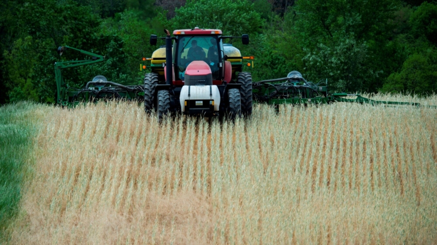 Could China Wipe Out America’s Agriculture?