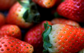 US, Canada Investigate Hepatitis a Outbreak Linked to Organic Strawberries