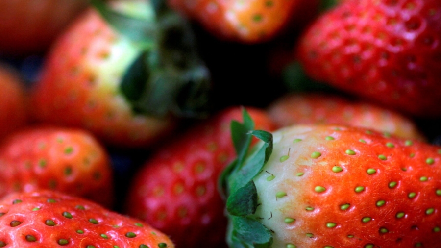US, Canada Investigate Hepatitis a Outbreak Linked to Organic Strawberries