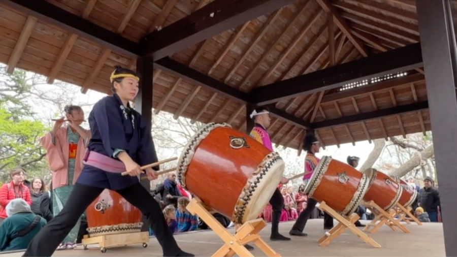 Japanese Culture Blossoms in Chicago