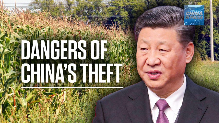 'You're Lifting the Secrets to Life': Ross Kennedy on Dangers of China's Agricultural Theft